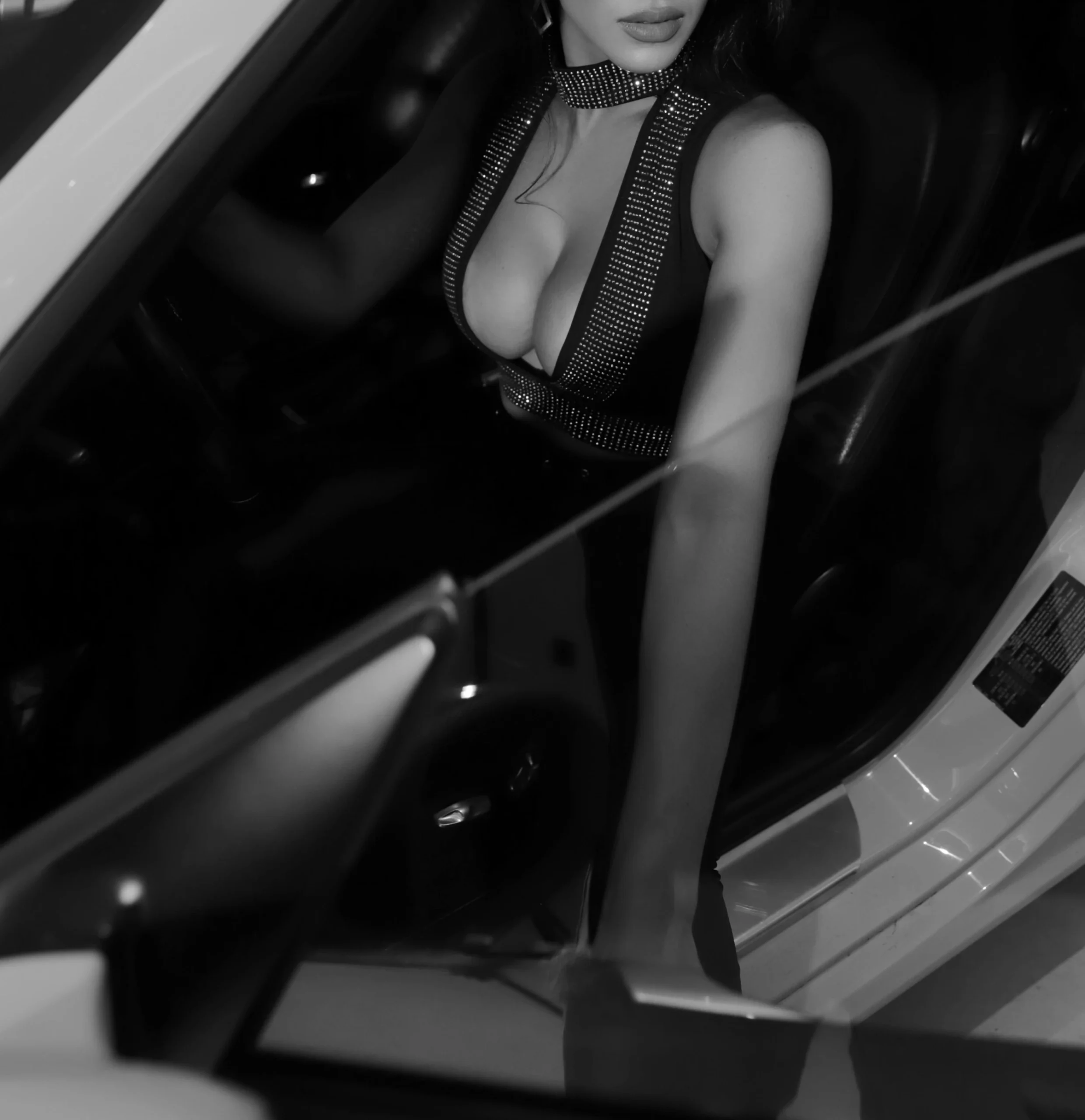 logo emerald escorts wien scaled